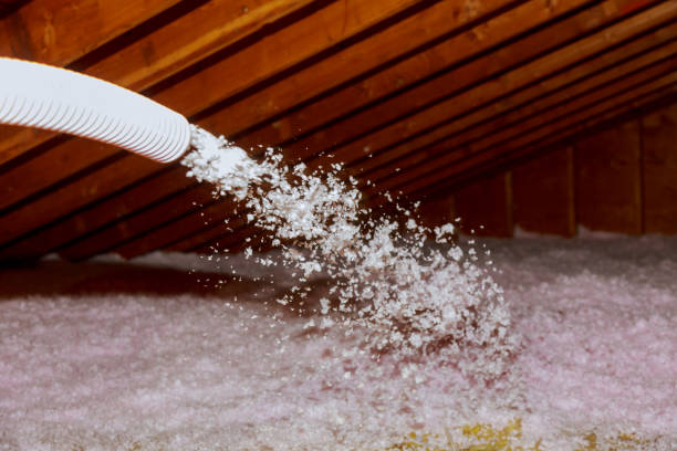 Best Commercial Insulation in Seis Lagos, TX