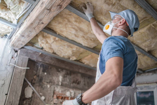 Best Residential Insulation in Seis Lagos, TX