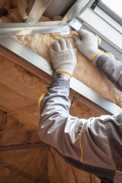 Best Insulation Maintenance and Repair in Seis Lagos, TX