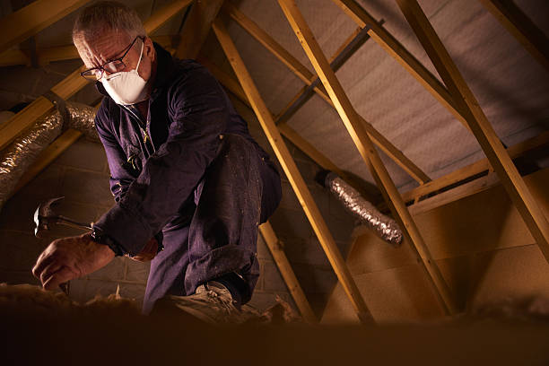 Best Specialty Insulation in Seis Lagos, TX