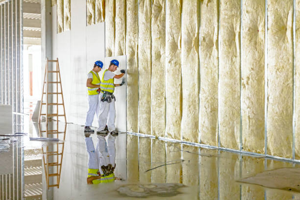 Best Insulation Materials and Products in Seis Lagos, TX